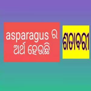Asparagus meaning in Odia language