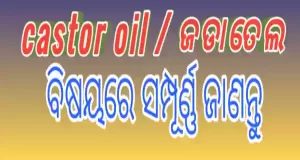Castor oil in Odia