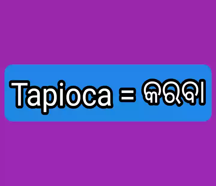 Tapioca in Odia language