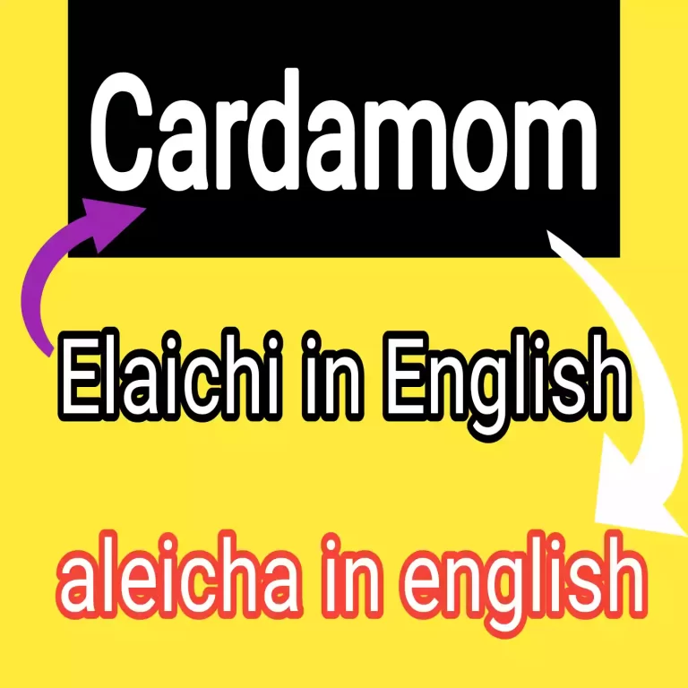 Elaichi in English or aleicha in english