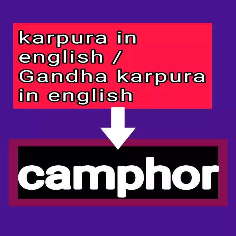 Karpura in english