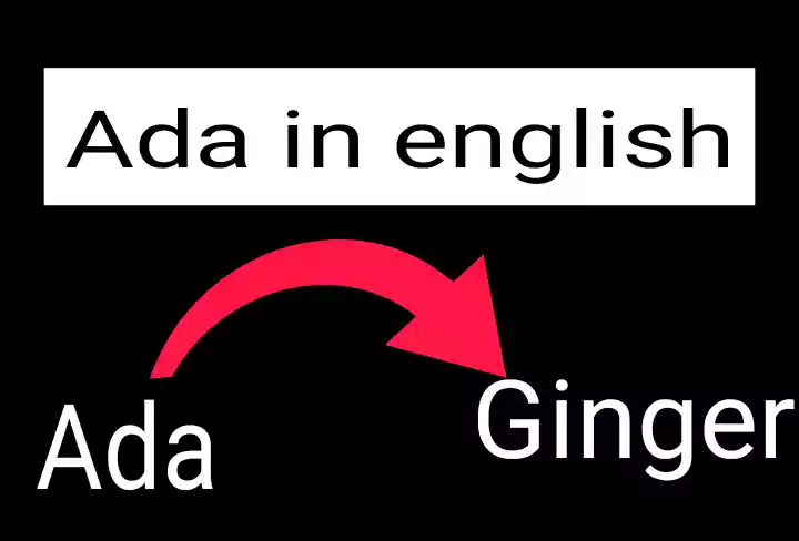 Ada in english