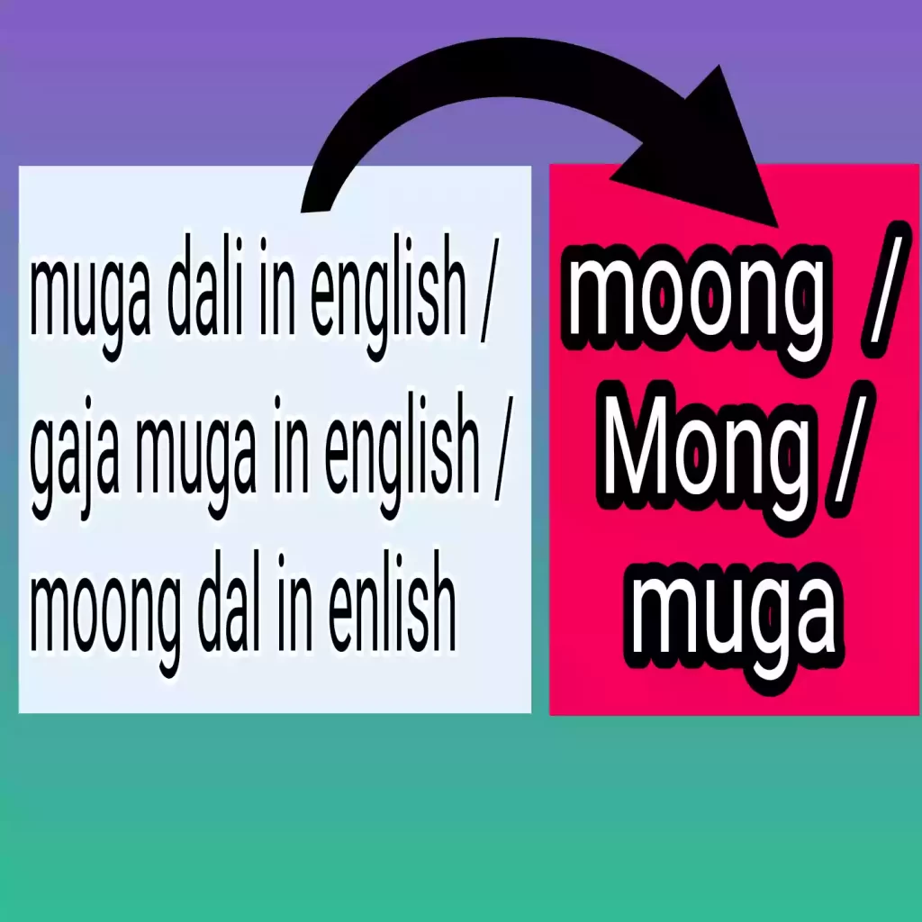 Mugs Dali in english