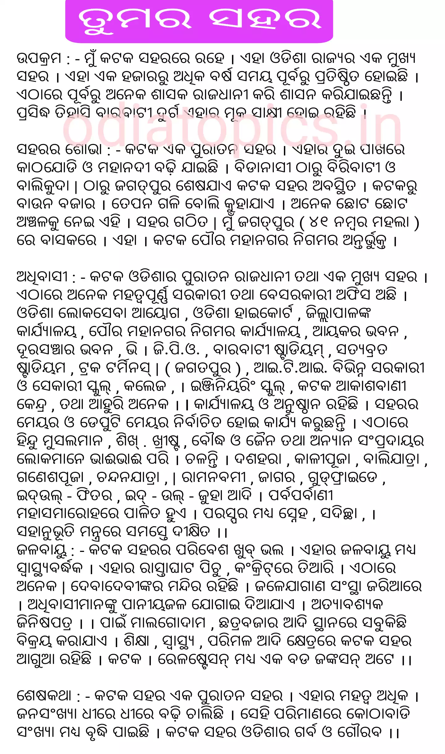 our town essay in odia